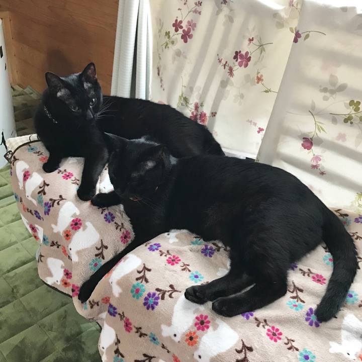 Fbd5d50e af57 478f 8a58 e8adf7eabd9f