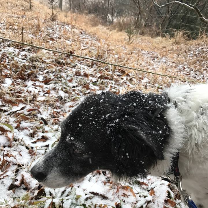 Fbd70146 6e49 4619 b94b 4e333d67cefd