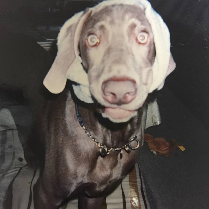 Fbd733ab 3971 4cb5 89bb b0b0b0e047cc