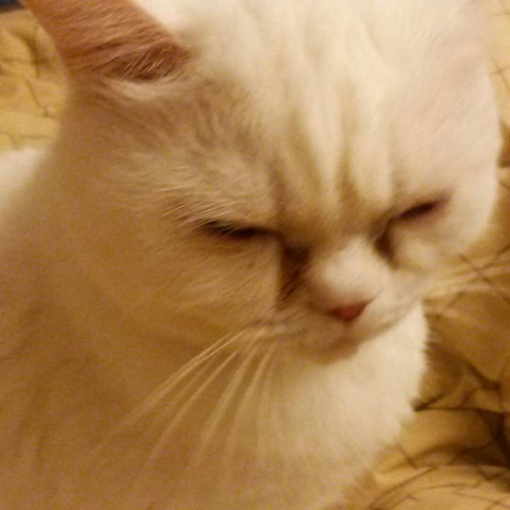 Fbd75098 6fd9 402a 9954 16867f9c3bde