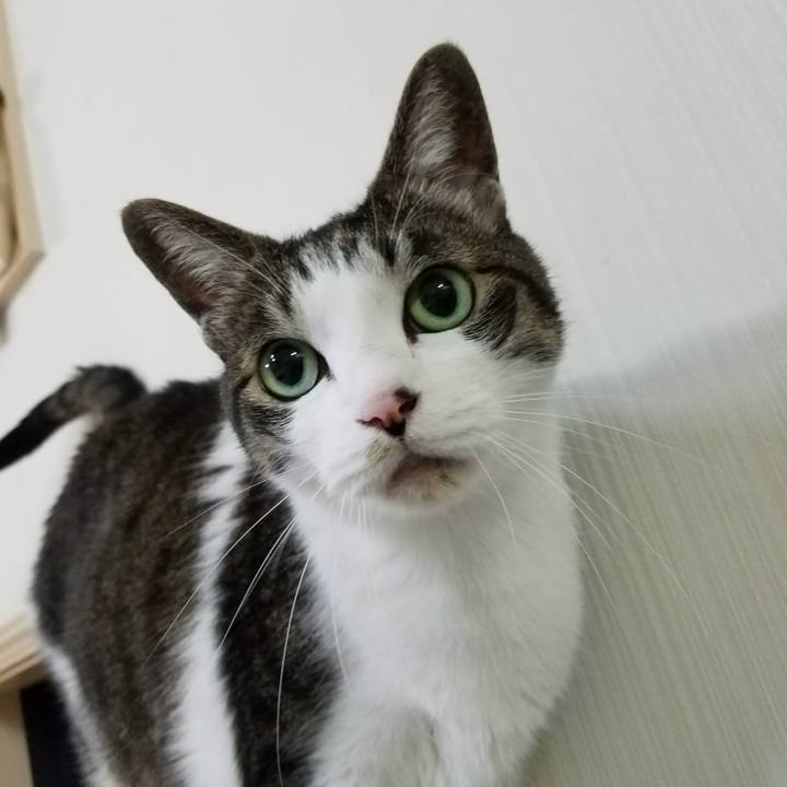 Fbd75a96 9ec0 44bc 859a 0aa9c82165fe