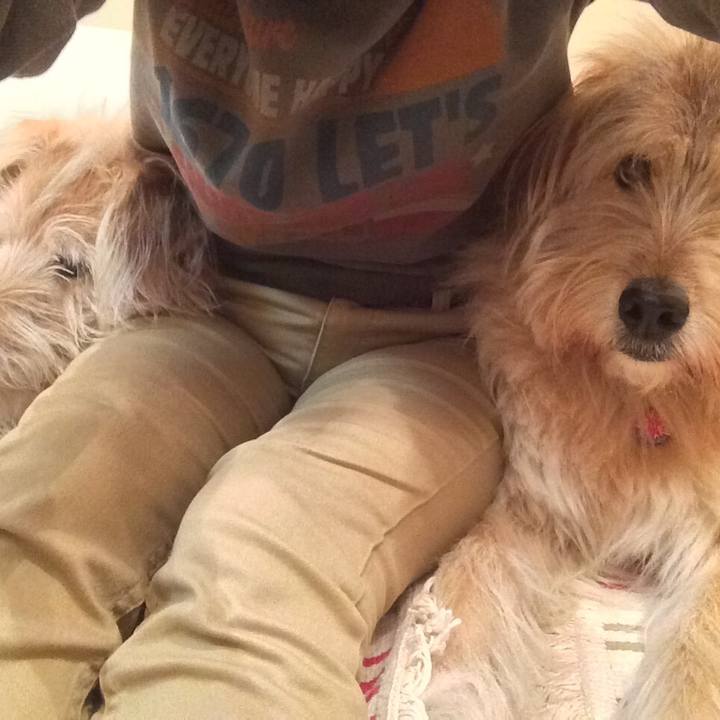 Fbd7c97f 20ba 47f4 bddd 41145d1e3b1e