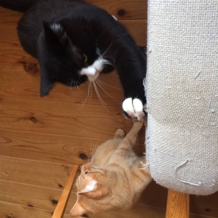 Fbd7e123 ba70 4571 b214 d05ee089dddc