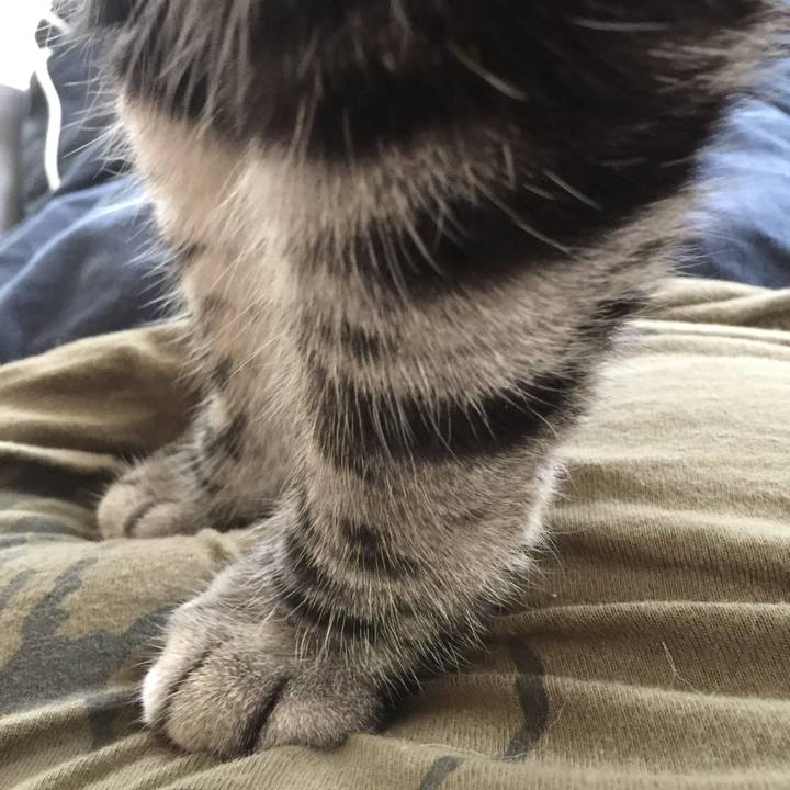 Fbd7f09b 1617 4af5 99ef d69ea110061a