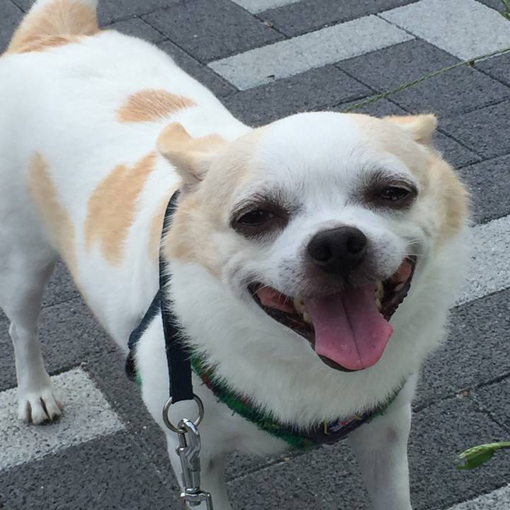 Fbd844f6 725e 48bf 84f2 36b62a0cf38d