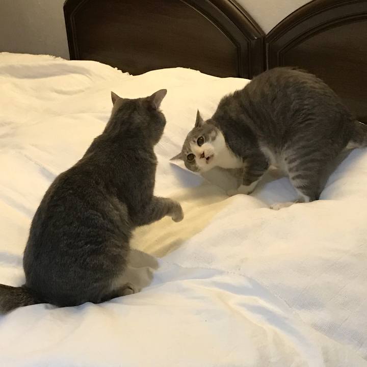 Fbd853bc 2625 4ed2 bbf8 8df5fa987271