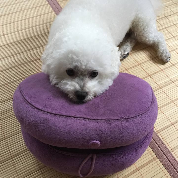 Fbd88965 6ebf 41cf 8a8c 02580c928360