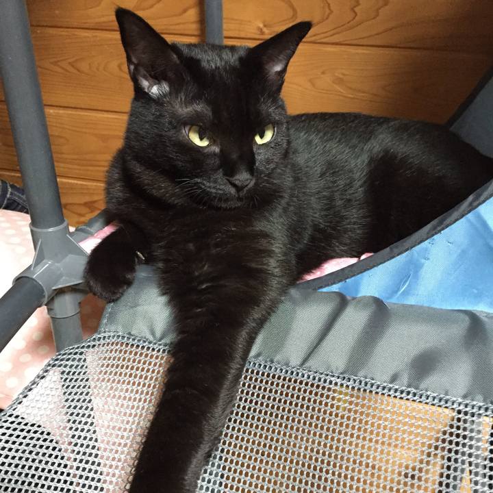 Fbd9c7ab 7d28 44b7 b04a 8a16e3b3e59d