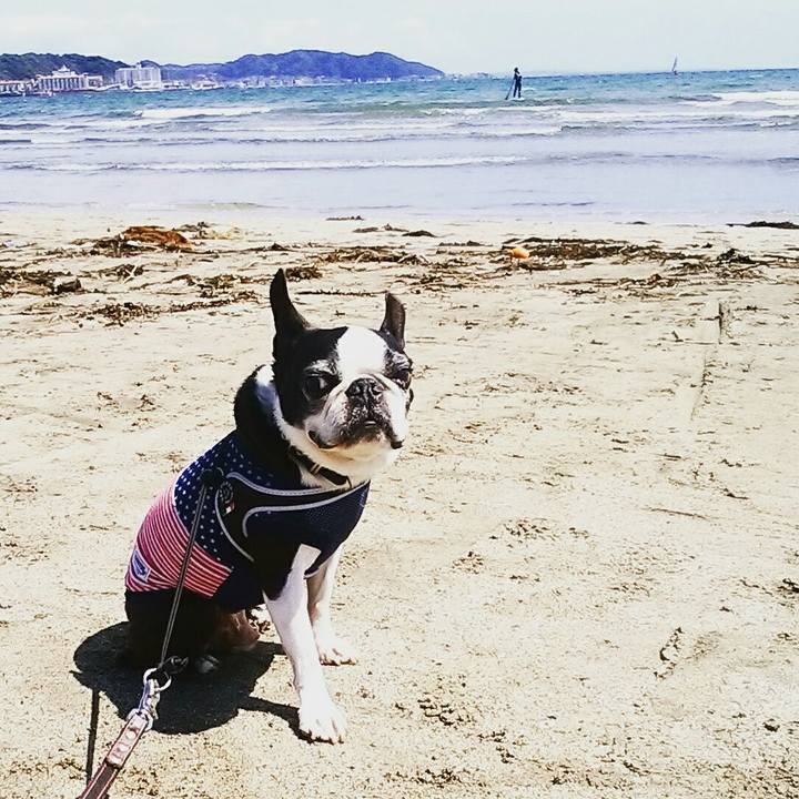 Fbda5ddc eb69 4237 acff 1c5187719df7