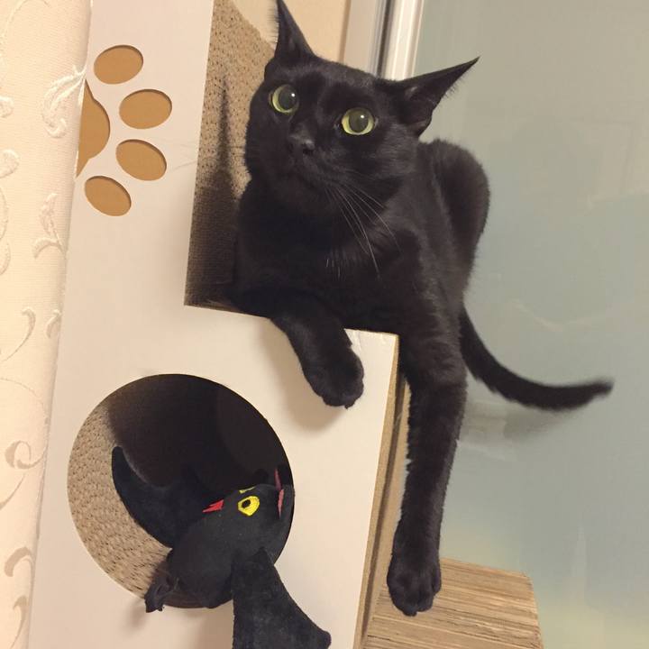 Fbdb0d94 7274 427f ac61 2b9008765f1e