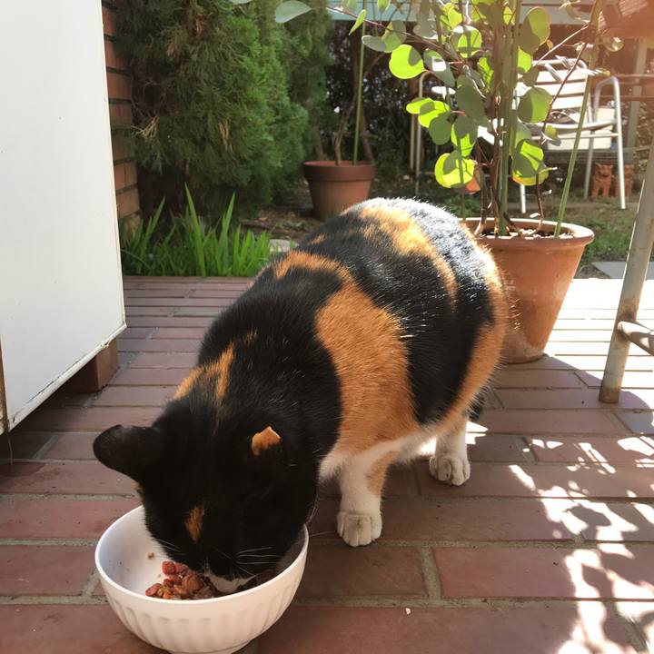 Fbdc2642 add4 49be ab2d a31cacf03274