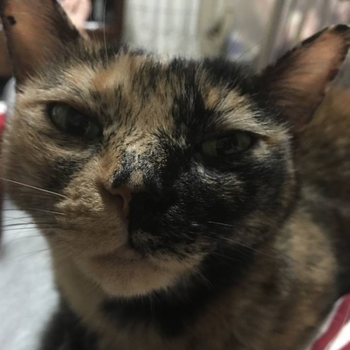 Fbdc6ed9 b869 4c84 be87 de77a1aac32a