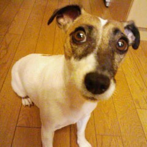 Fbdd7928 77a7 4383 af66 b7015a4e5be2