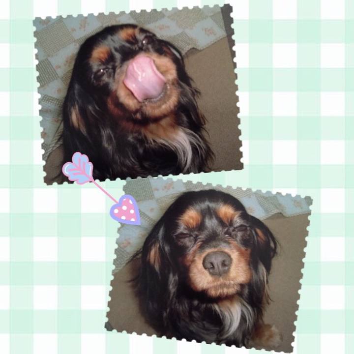 Fbde0a88 db80 4a18 b798 27fb7f3570f3