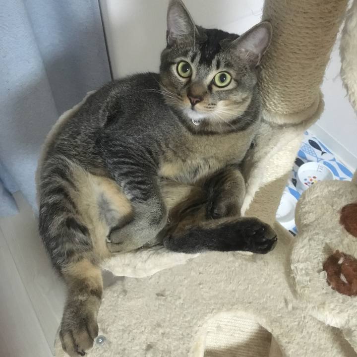 Fbde522e 7f61 4c3f b18f 761d655e276d