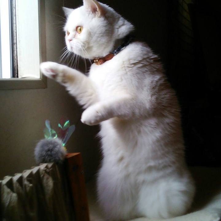 Fbdeb10a 46dc 4905 bd84 f5d2090d30b4