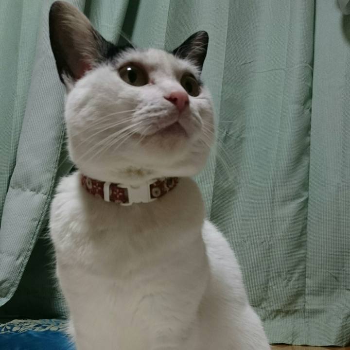 Fbdf630d 5516 449d a100 869f5d52d9eb