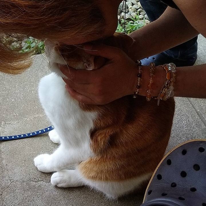 Fbdf68a4 4397 4988 bd8a 524cfbe4a919