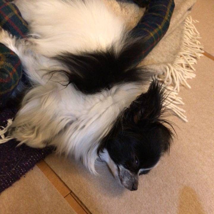 Fbe00e3b 669d 4644 9d1a 4fd9a5cacea1