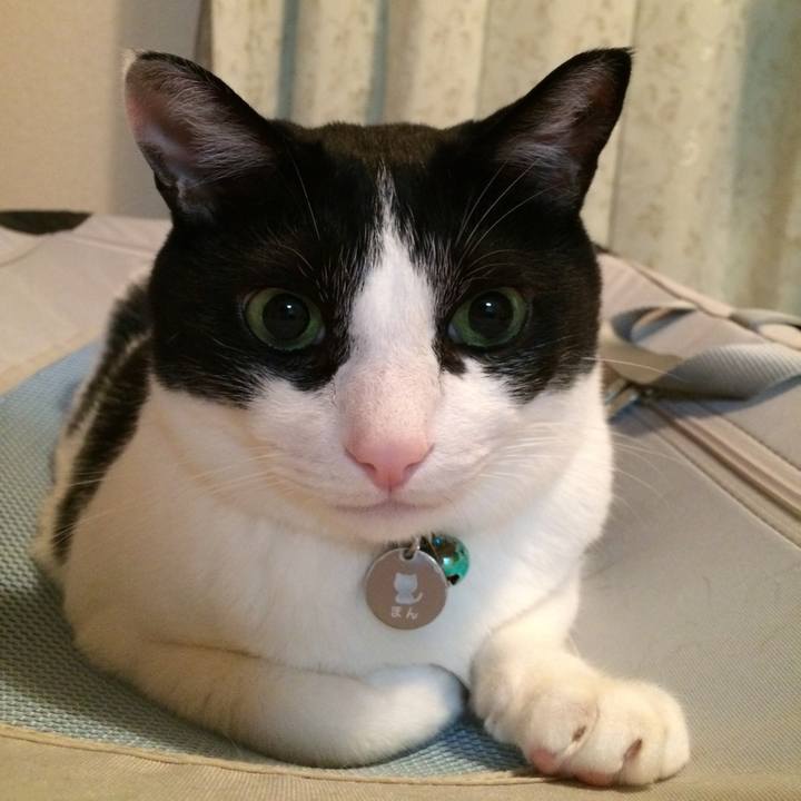 Fbe044e3 f514 49f4 a014 a5700054be75