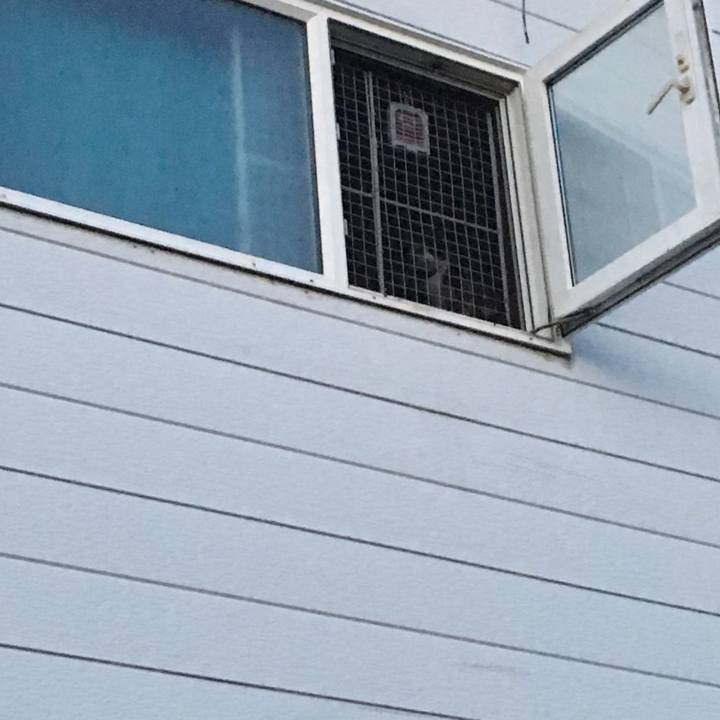 Fbe062b3 f9e9 4184 9d28 5d5c441b02e8