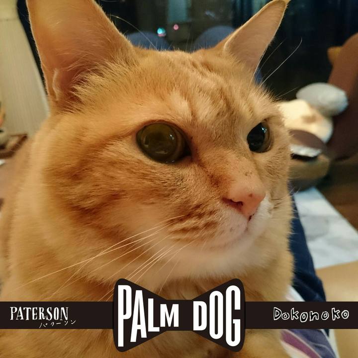 Fbe09074 e2fa 46f5 bb12 f1ae743e97c6