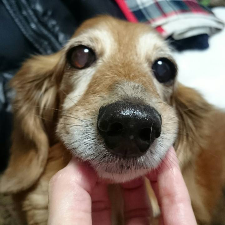 Fbe0b706 e5f3 4748 b728 7879a363f1b7