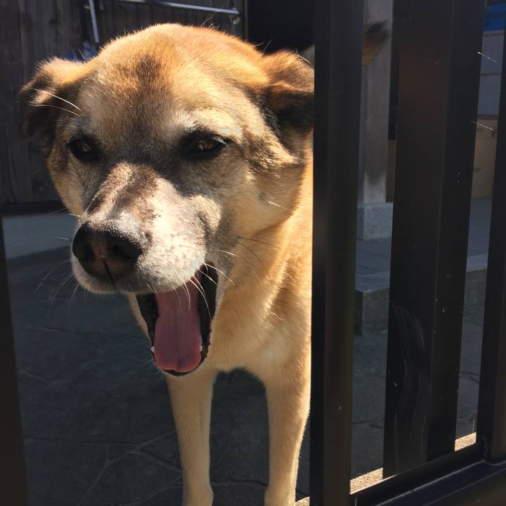 Fbe0c9b2 d897 422f a807 b5433f129200