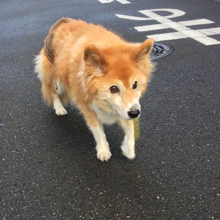 Fbe10ef2 c132 4e92 a3b8 9f41f0fdeb81