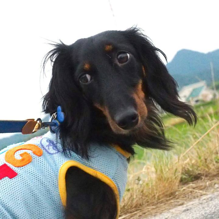 Fbe131c1 4605 46dc af51 2b730ac6b26e