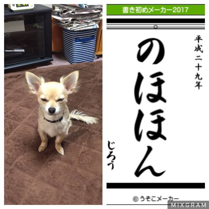 Fbe16150 f5dc 4336 8b3c e49eb785e8f8