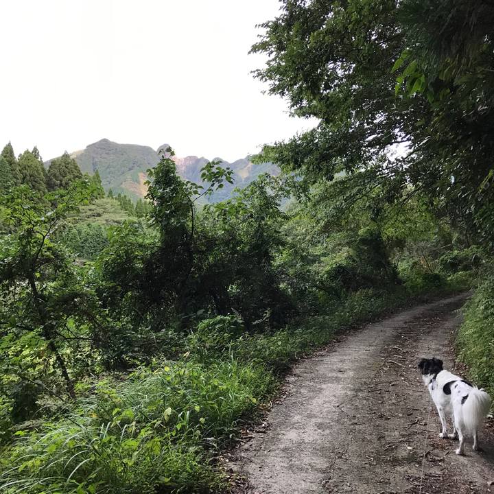 Fbe19084 0a60 45ab 9248 50c98573cb73