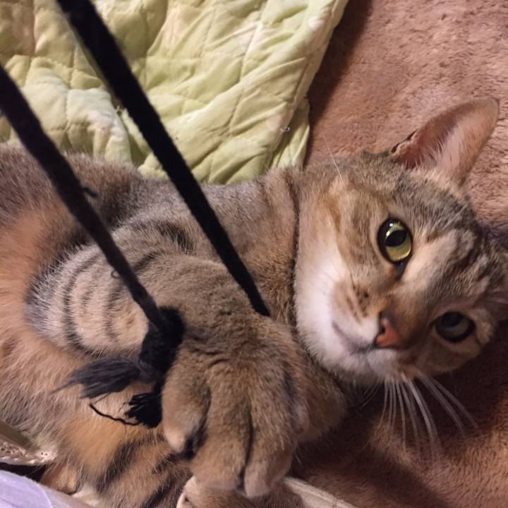 Fbe20cb0 29ef 4171 b79e 80a3e2509e31