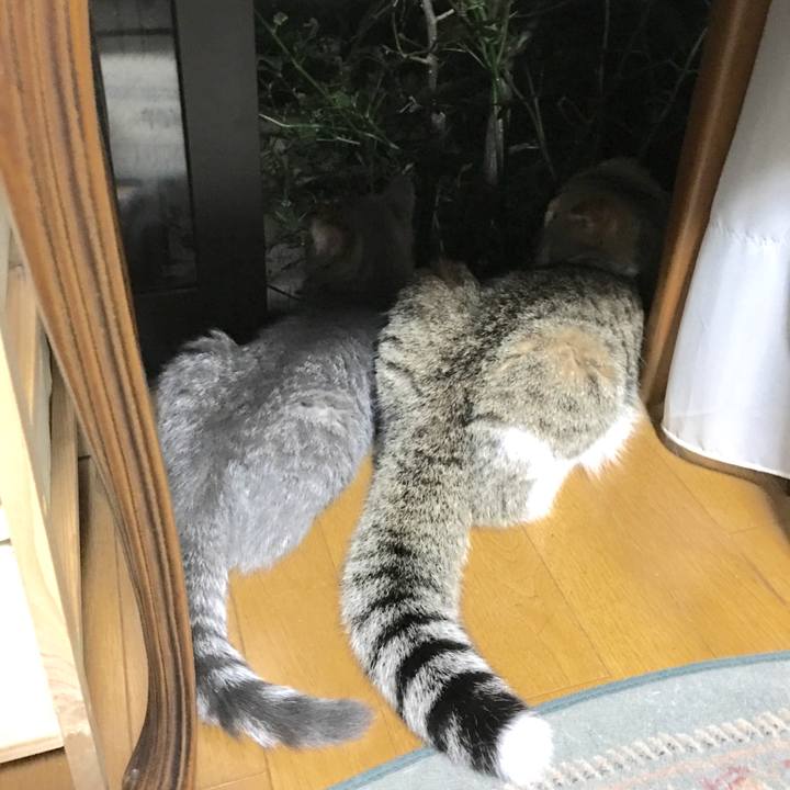 Fbe2a543 5020 48e3 b6c7 eeac98ffdad2