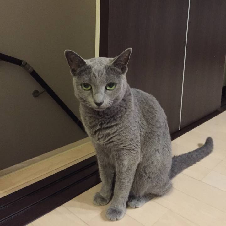 Fbe352e3 2a86 4493 9882 7974a3161a6d