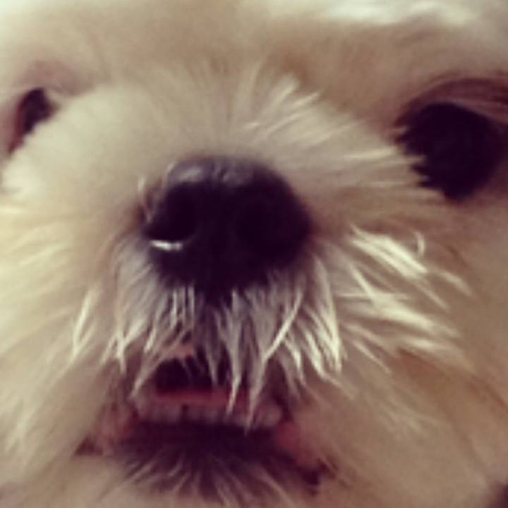 Fbe36dc7 0013 4156 b723 5f250130fc74