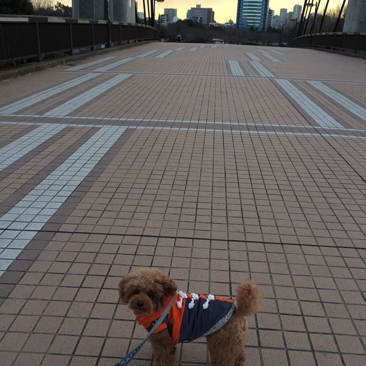 Fbe3fc16 650a 4f22 b500 cf34f9881c07