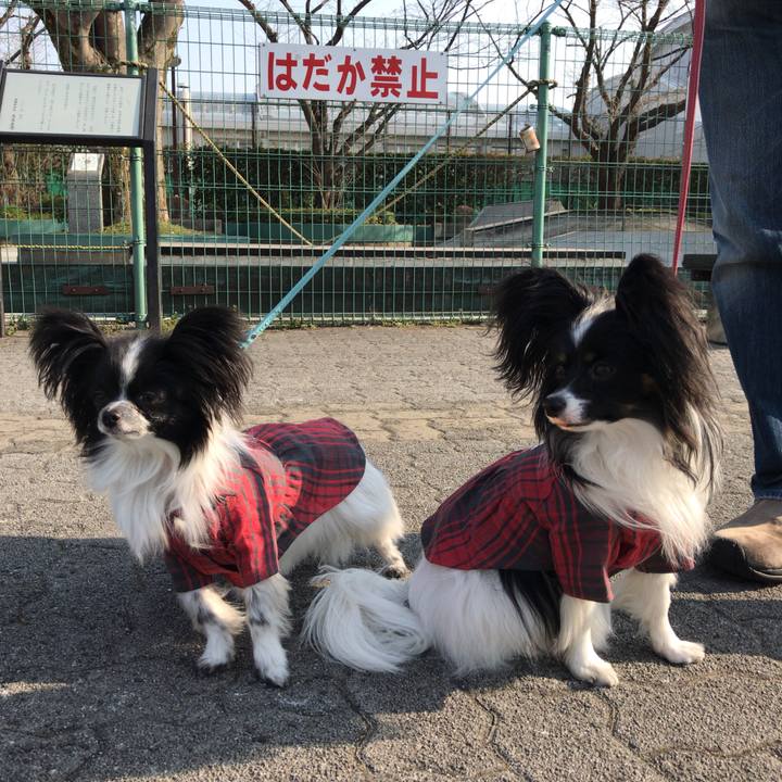 Fbe4436d d5c0 4181 8282 495f77731d58