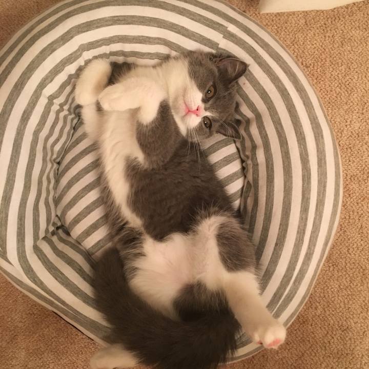 Fbe45205 c424 41ea a664 f85bd4ad5854