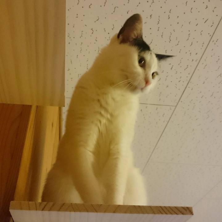 Fbe52d42 1960 4293 afb1 b49f391cc757