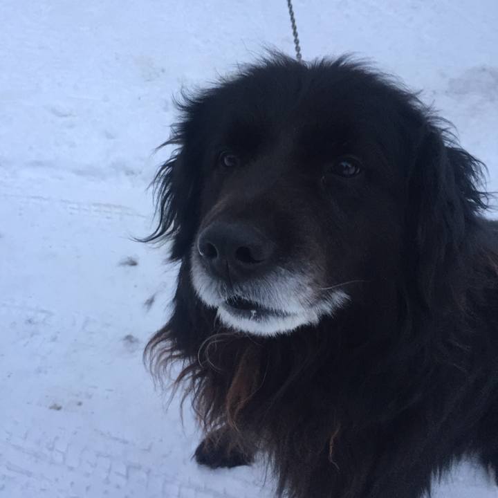 Fbe5b461 40b8 4983 ac73 babd0d473f79