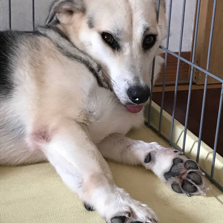 Fbe6093b f1a9 406a b2ef 937e0a462564