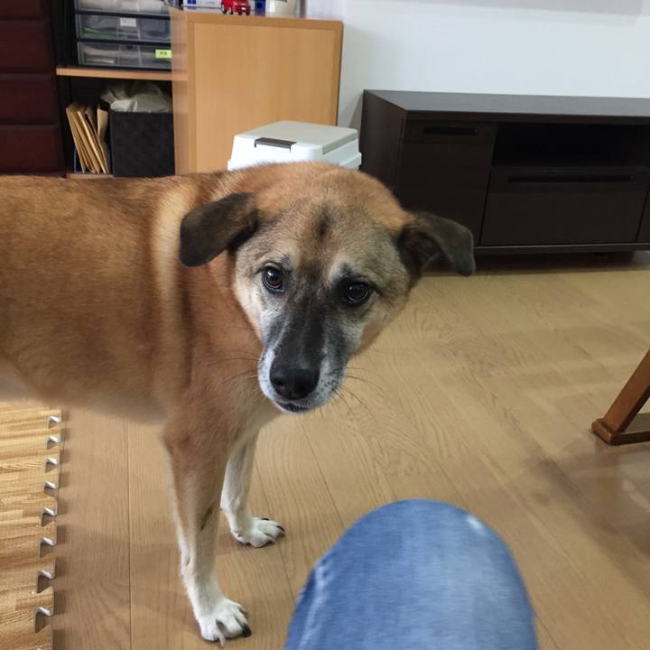 Fbe6b25e fcdb 4b5d a85a 2264488cc6e4