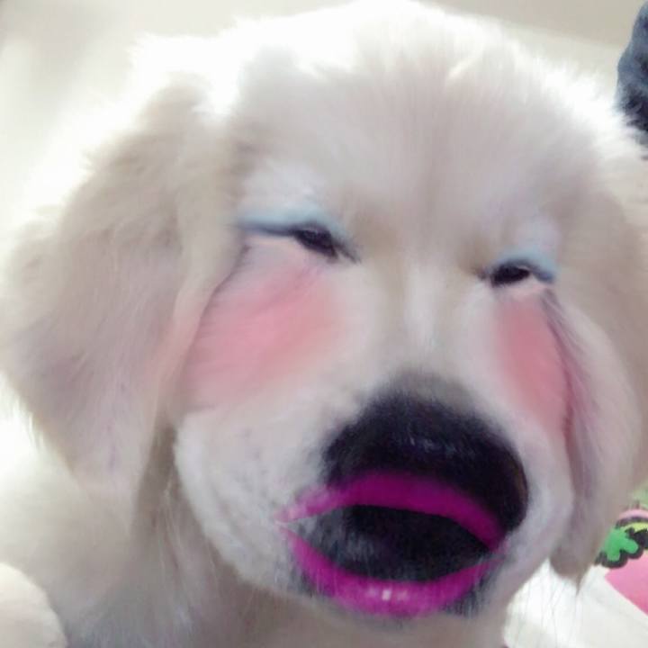 Fbe6f789 09ad 4745 acff d502dd95569e