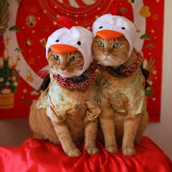 Fbe7158a 0bdc 4237 9fc8 3158b4978c87