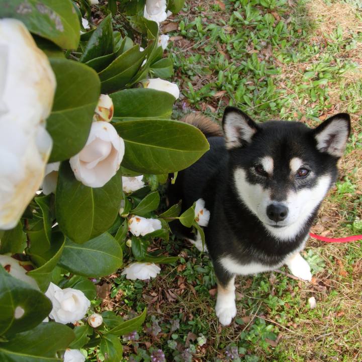 Fbe71d65 73ea 48d4 9bcd dc22fa4fa109