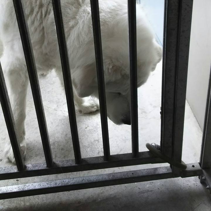 Fbe7214e 5af9 4ea9 b648 968ccba45328