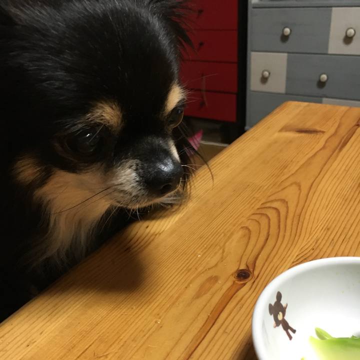 Fbe8a416 004a 4652 9c14 79be3ac6bae0