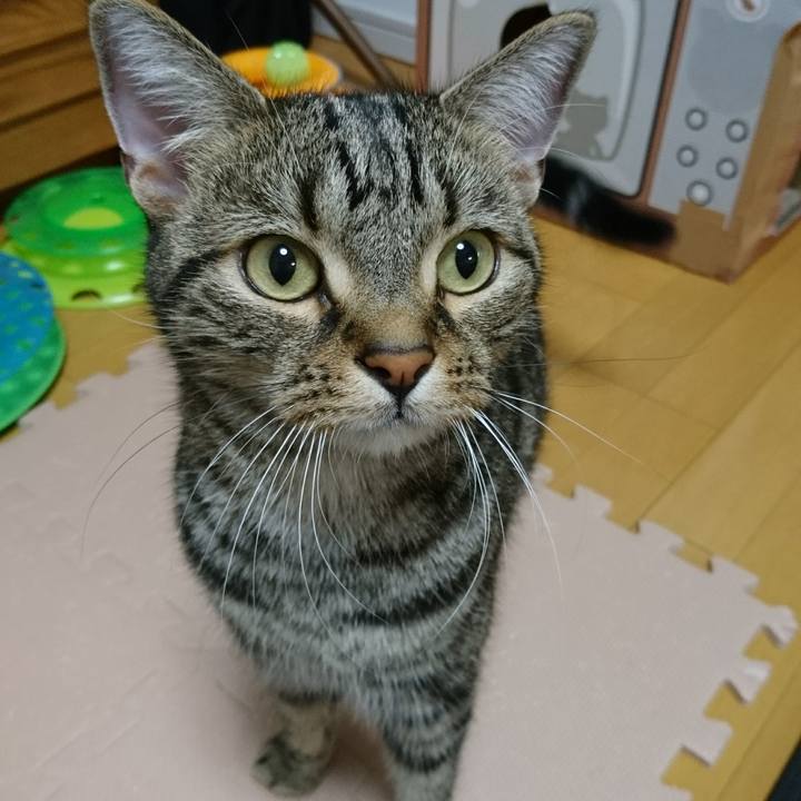 Fbe8f8ed 7b54 4015 8017 ff232c5a950b