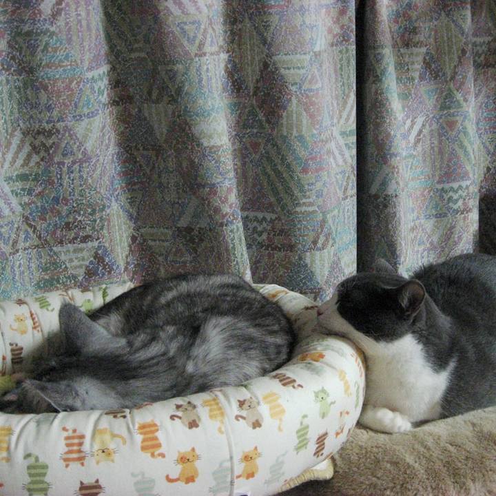 Fbe94dbb 34fc 4a57 81c8 dd7319308352